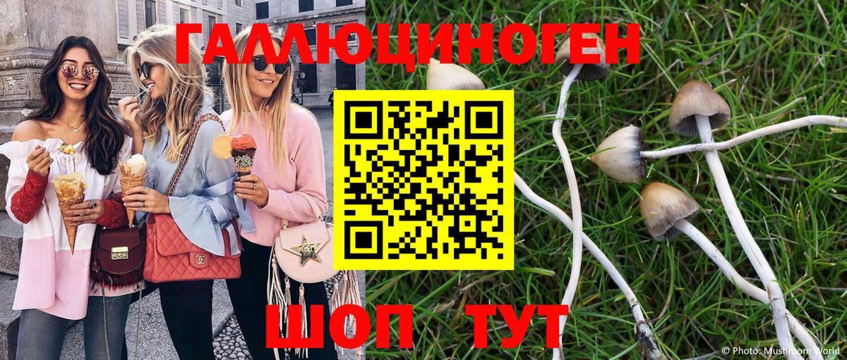 Галлюциногенные грибы прущие грибы Ижевск